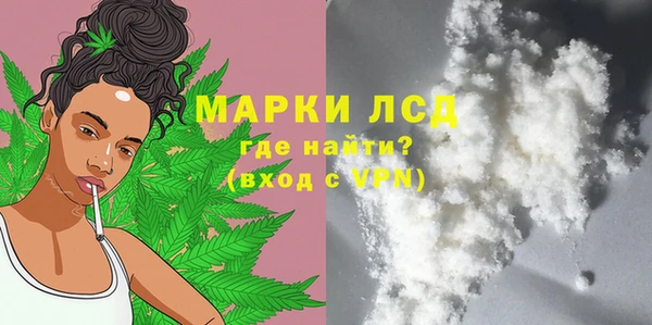 хмурый Вяземский