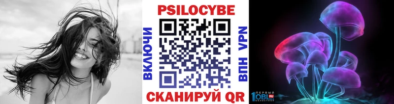 мега рабочий сайт  Златоуст  Псилоцибиновые грибы Psilocybine cubensis 