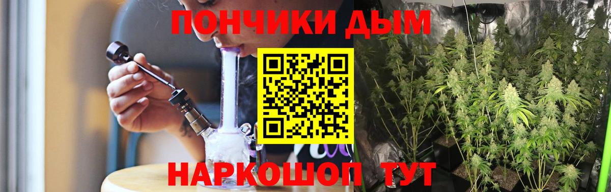 Бошки Шишки планчик  Златоуст  Шишки марихуана AK-47 